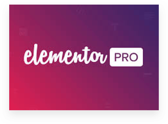 Elementor Pro 1